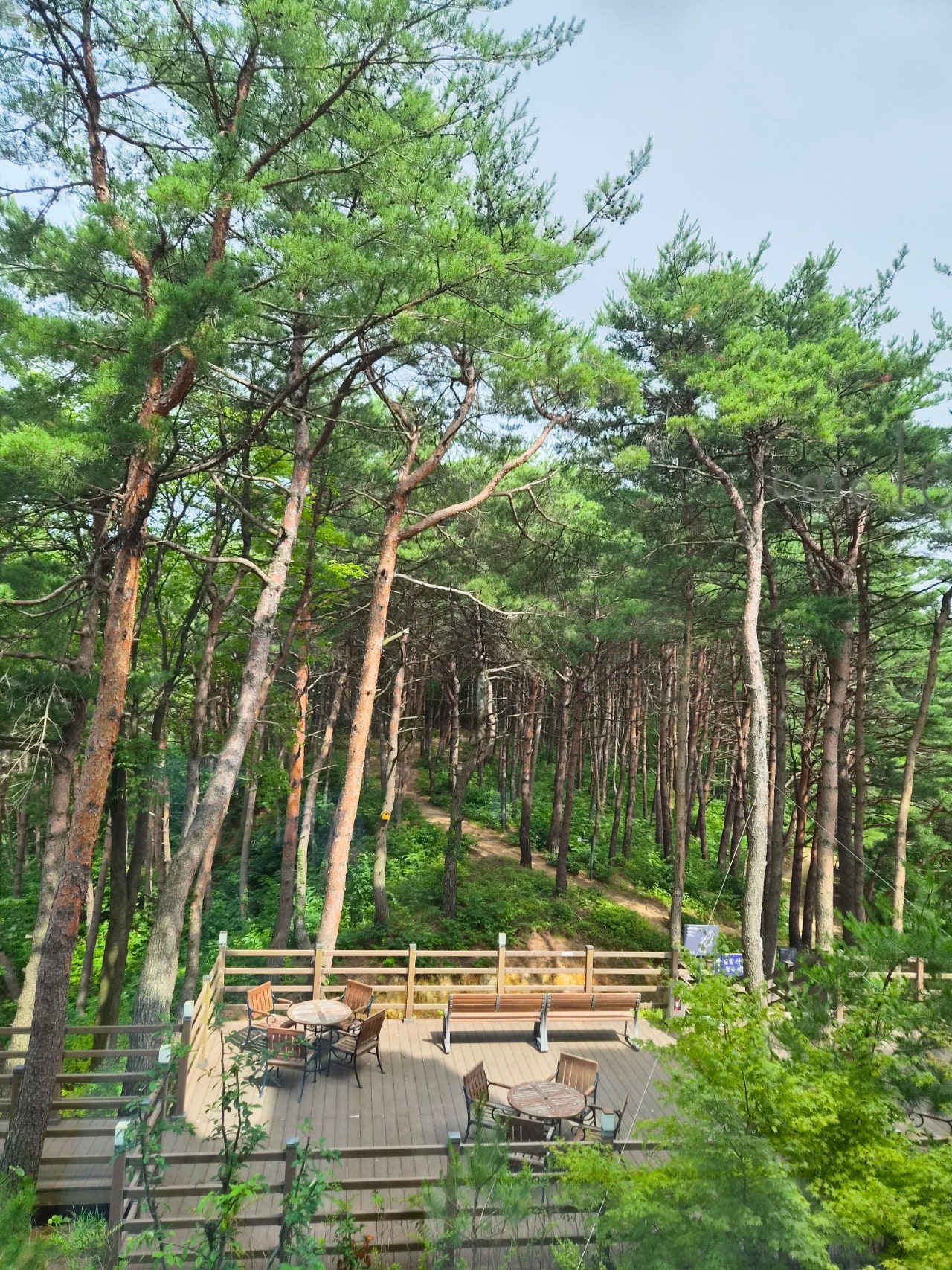 1박2일 뚜벅이로 혼자 양양 다녀왔어요(숙소는 바다뷰펜션)