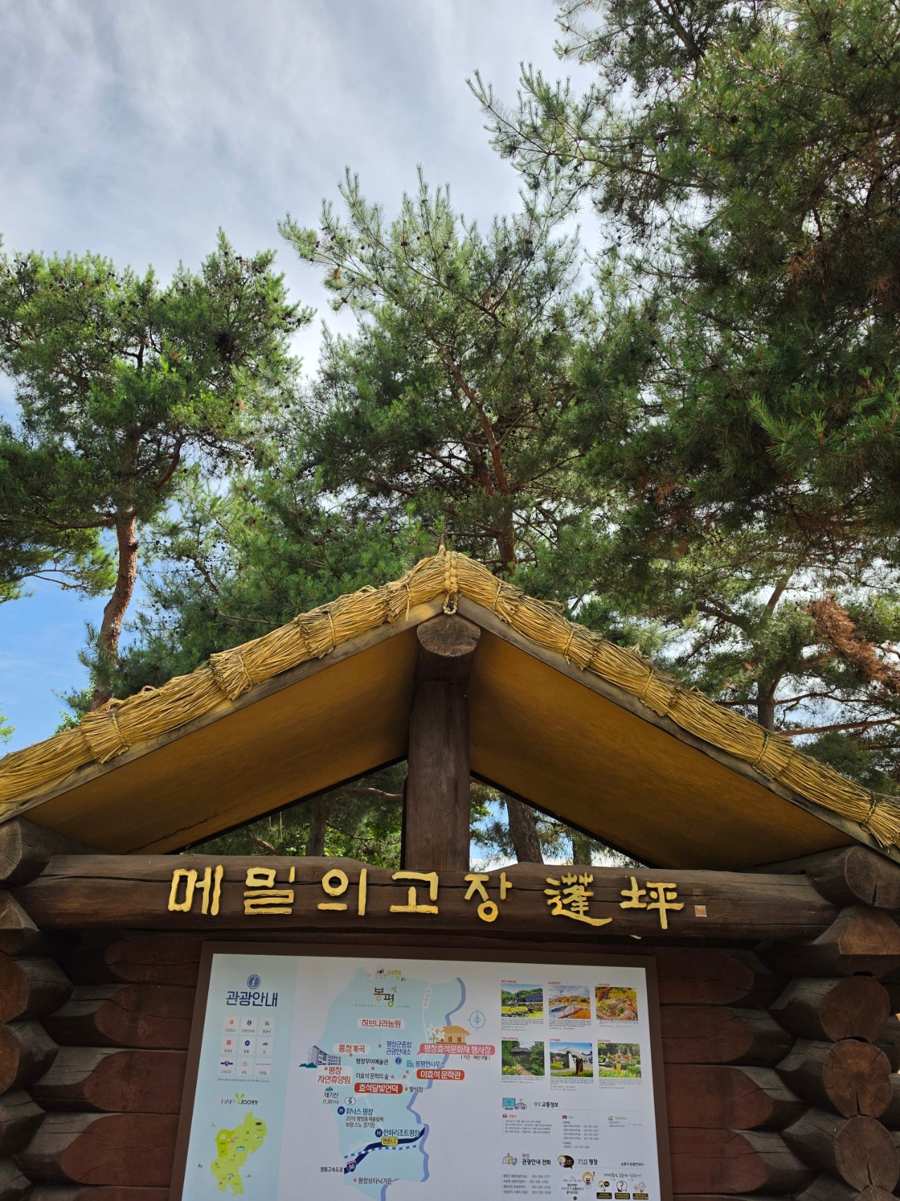 엄니모시고 평창 봉평재래시장,남촌막국수먹고 이효석문확관 효석 달빛언덕보고 라마다호텔에서 숙면한 1일차