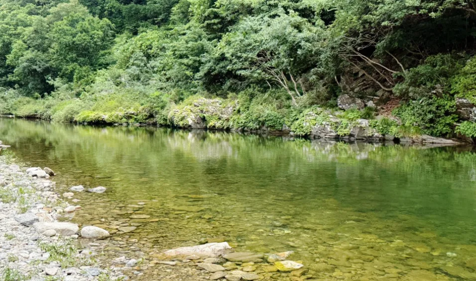 가평 숙소 슈가펜션, 수영장과 계곡을 즐긴 1박 2일 커플 여행 대표 이미지