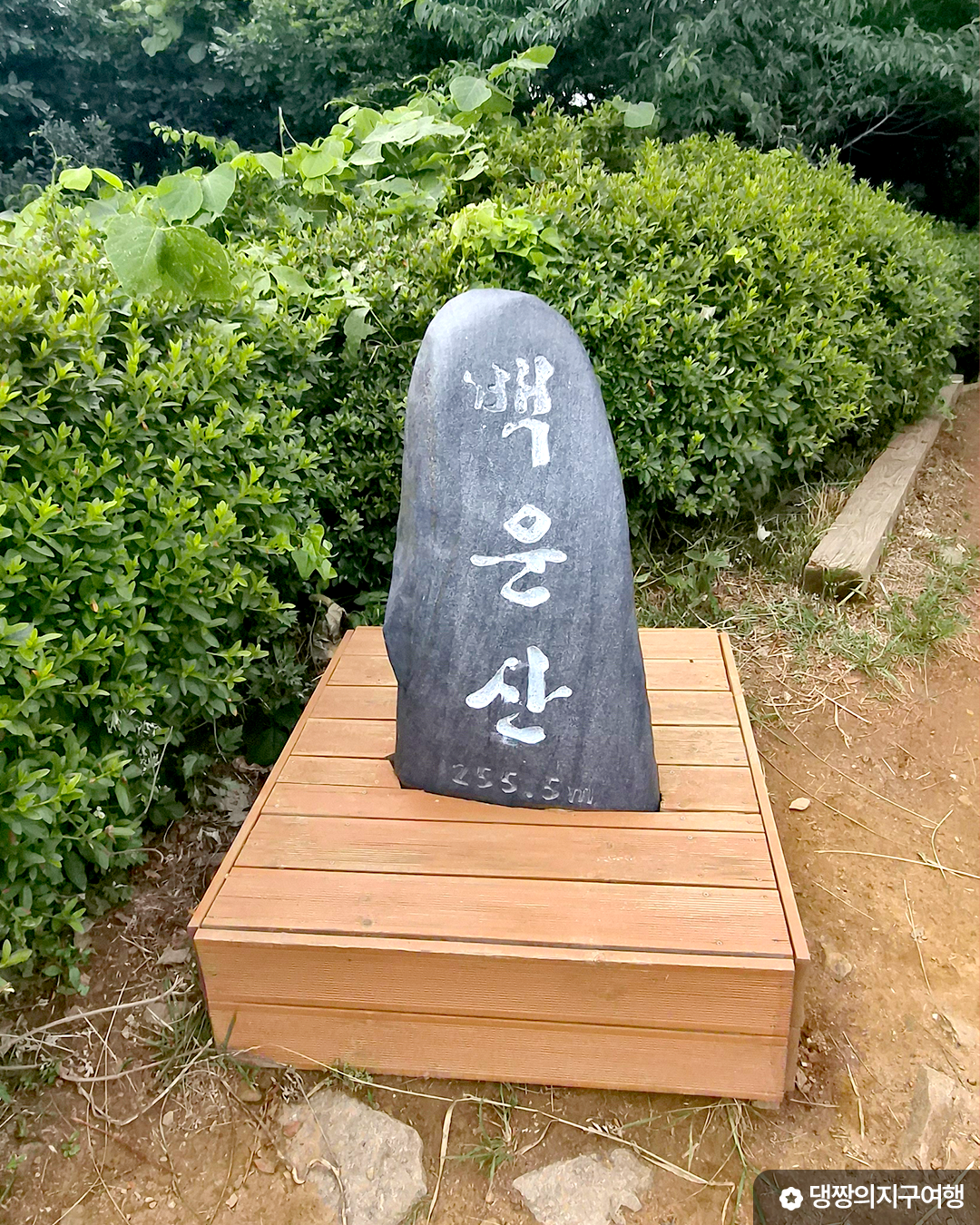 <로컬홀릭 ep.17> 도심 근교의 오아시스, 메가 리조트로 쾌적한 힐링을 주는 인천 영종도
