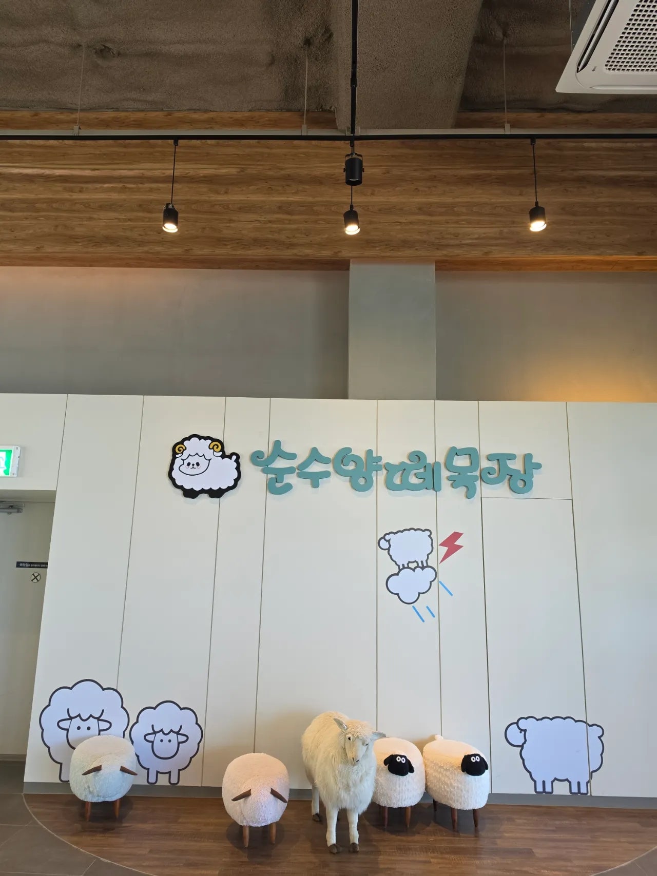 엄니모시고 라마다평창 양떼목장 육백마지기 보고왔어요 2일차