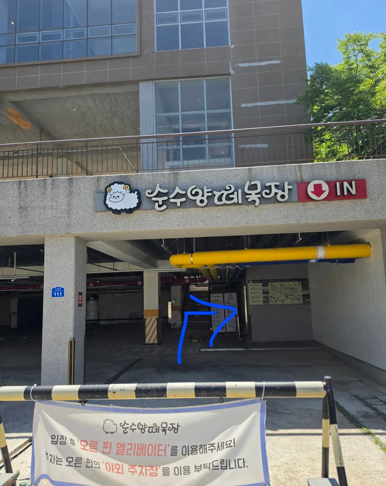 엄니모시고 라마다평창 양떼목장 육백마지기 보고왔어요 2일차