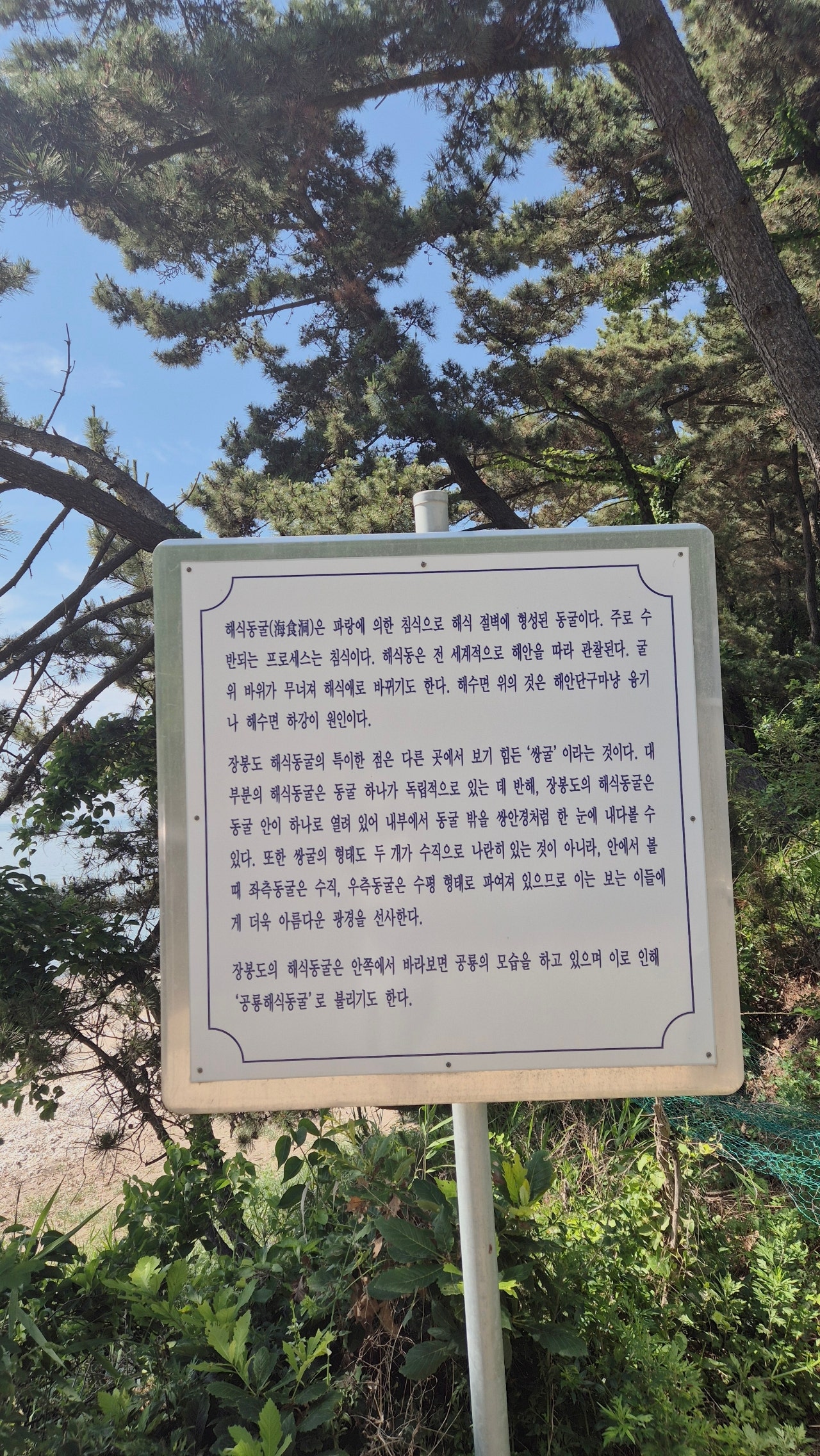 해루질하러 배타고 장봉도 1박 2일 나들이