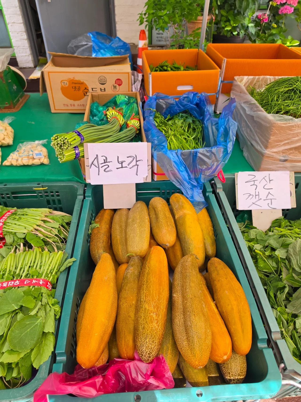 엄니모시고 평창 봉평재래시장,남촌막국수먹고 이효석문확관 효석 달빛언덕보고 라마다호텔에서 숙면한 1일차
