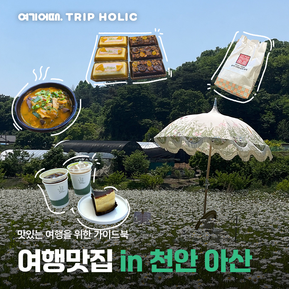 <여행맛집 in 천안 아산> 현지인도 줄서서 먹는 찐 맛집만 한 곳에 모았다! 🥗