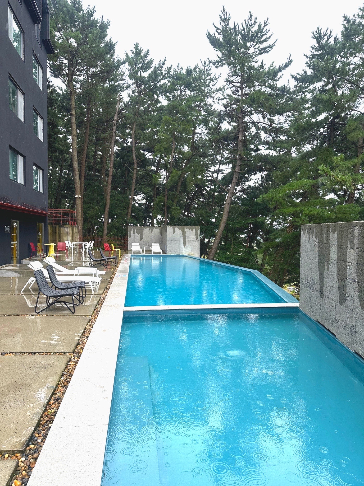 맛집. 관광. 힐링 한가득 태안 여행!!수영장.카페도 있는 가성비 호텔✨ 캐시미르 호텔 찐후기