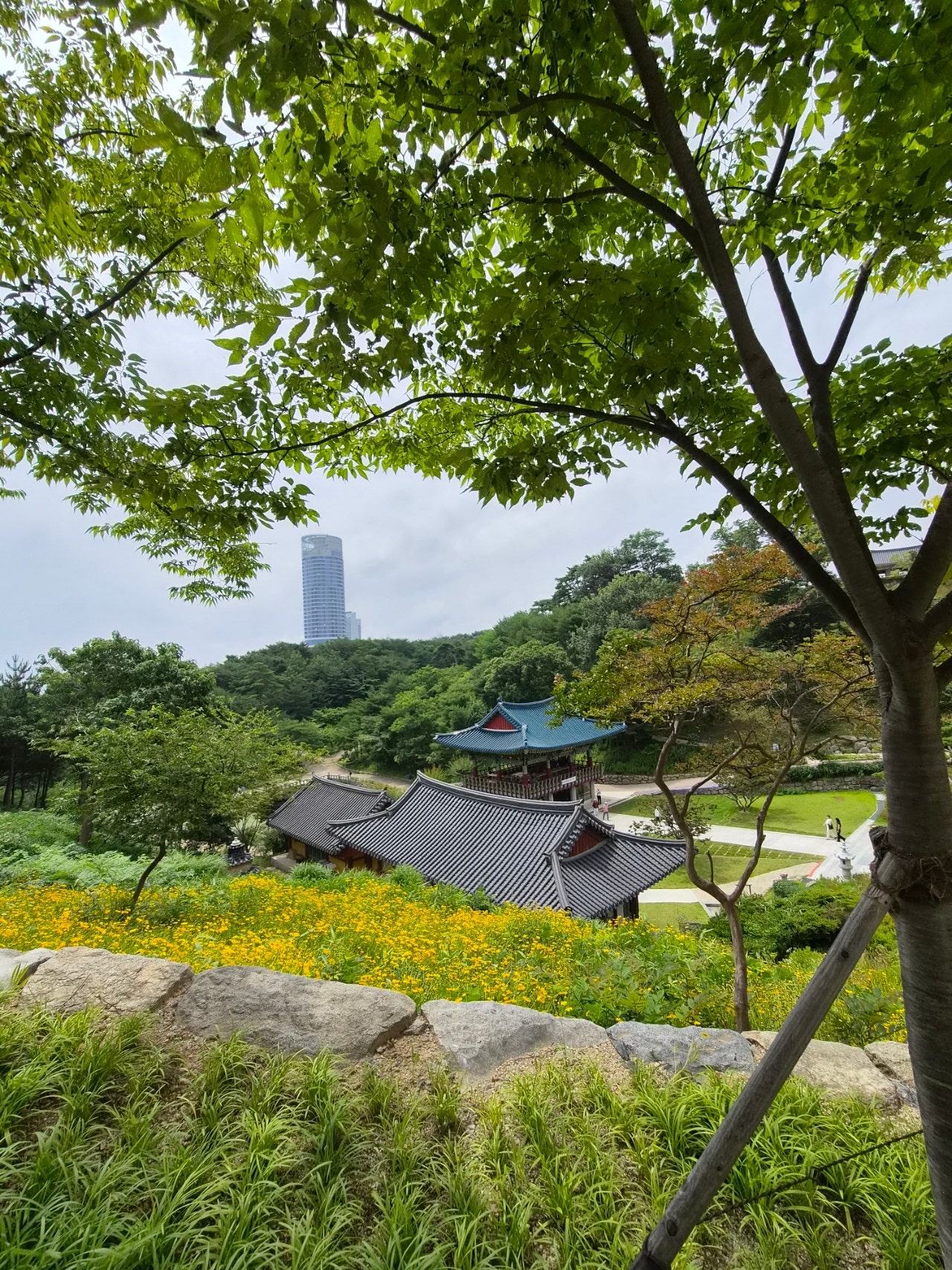 1박2일 뚜벅이로 혼자 양양 다녀왔어요(숙소는 바다뷰펜션)