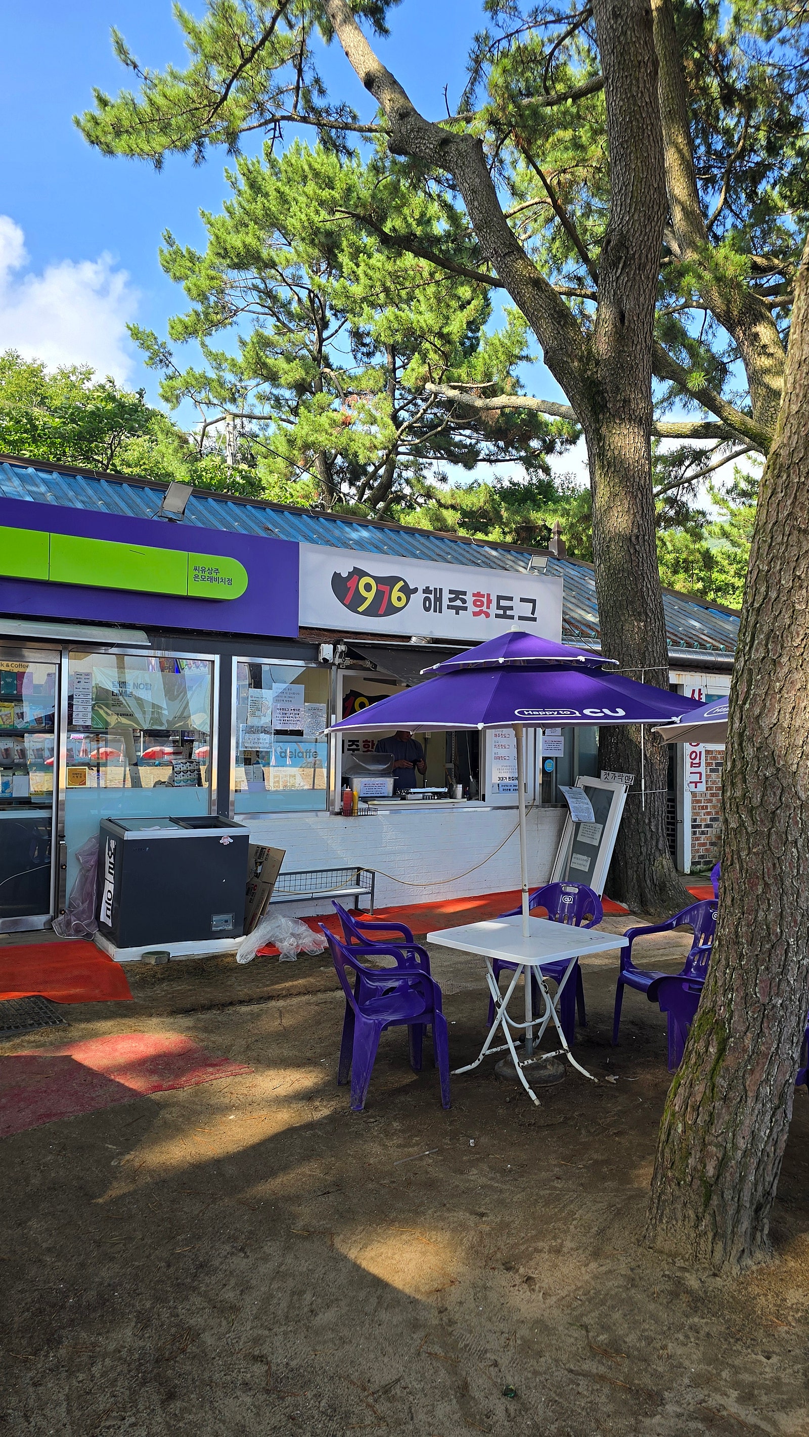 우리나라 속 세계여행(?)을 곁들인 2026 여름휴가