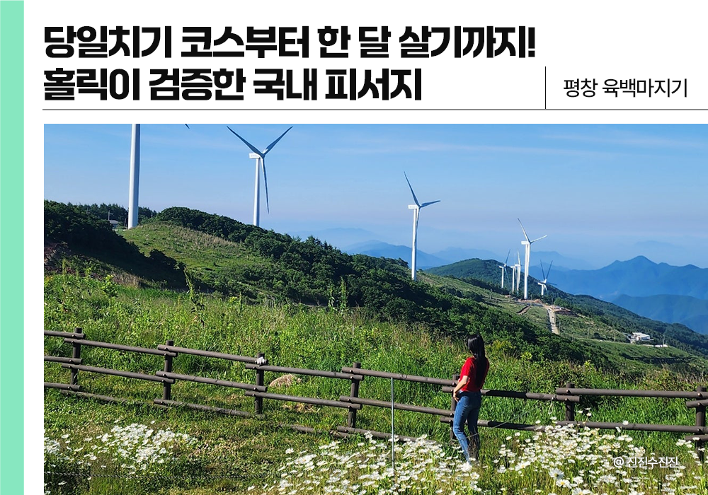 🔗진진수진진