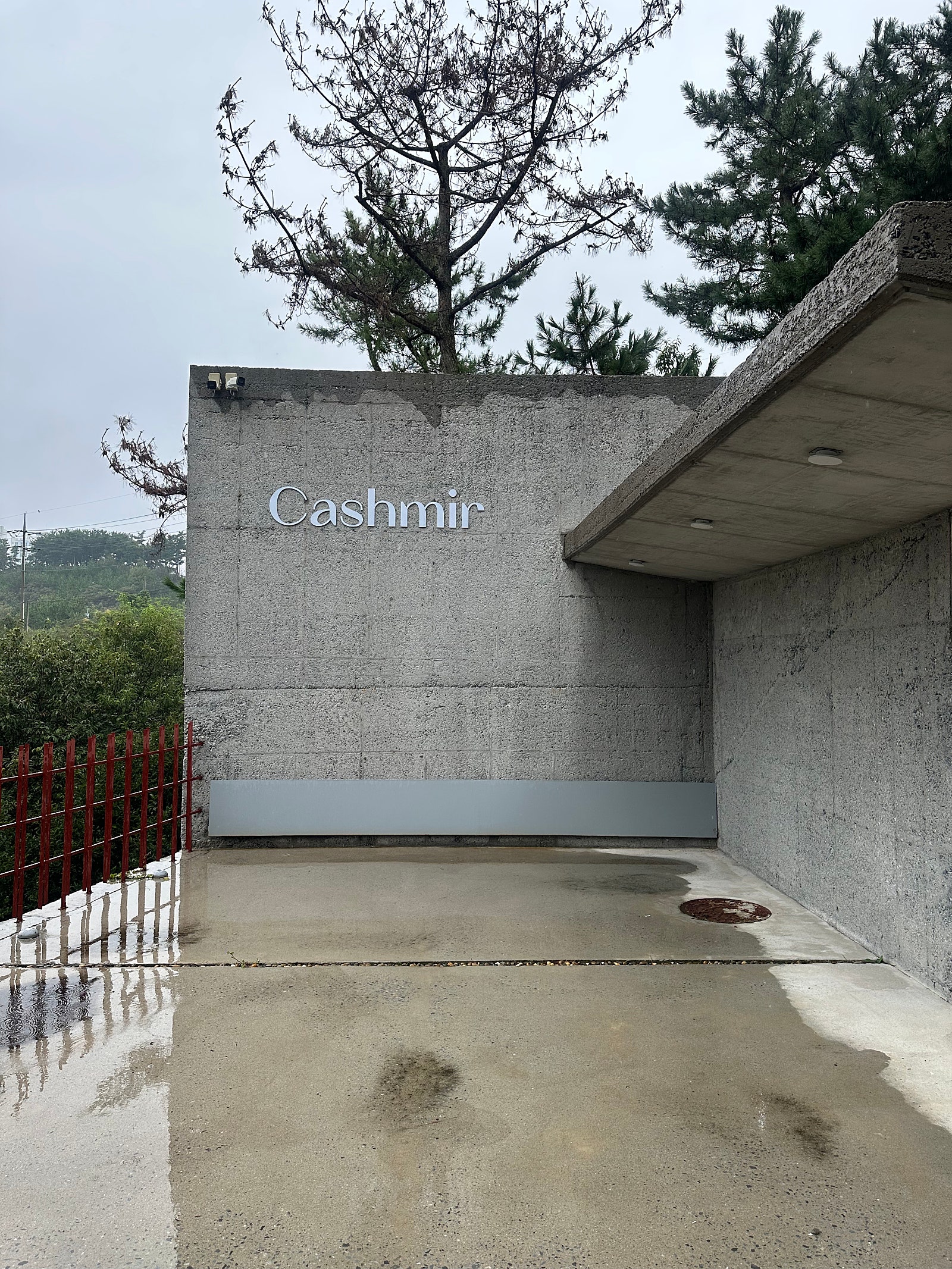맛집. 관광. 힐링 한가득 태안 여행!!수영장.카페도 있는 가성비 호텔✨ 캐시미르 호텔 찐후기