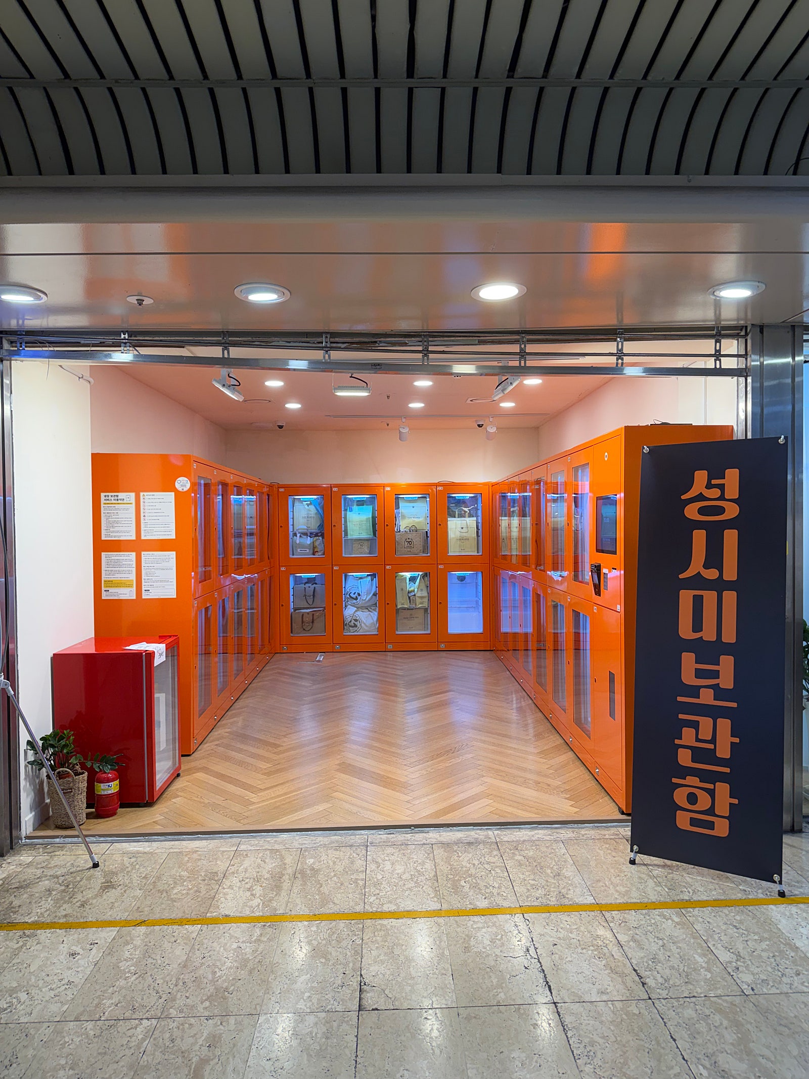 누구도알려주지않는 대전 당일치기 초압축꿀팁모음집!!! (특히 빵순이들을 위한!!!)