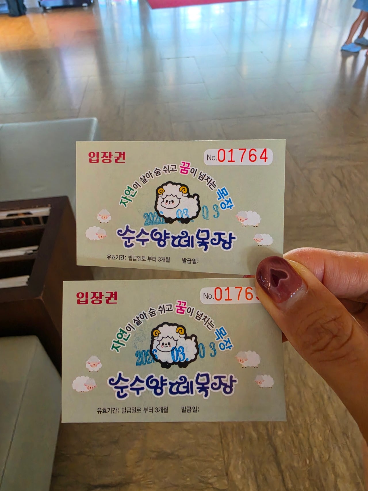 엄니모시고 라마다평창 양떼목장 육백마지기 보고왔어요 2일차