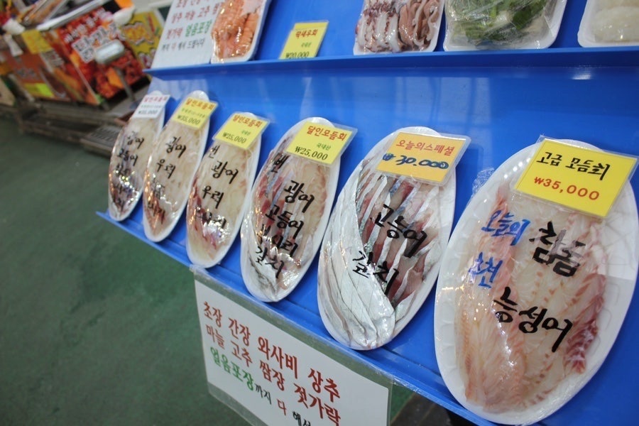 제주에 매달 갔던 반제주도민 다이버가 추천하는 가성비 최고의 서귀포 호텔 세 곳! ’케니스테이‘, 이스턴호텔’, ‘타마라제주’