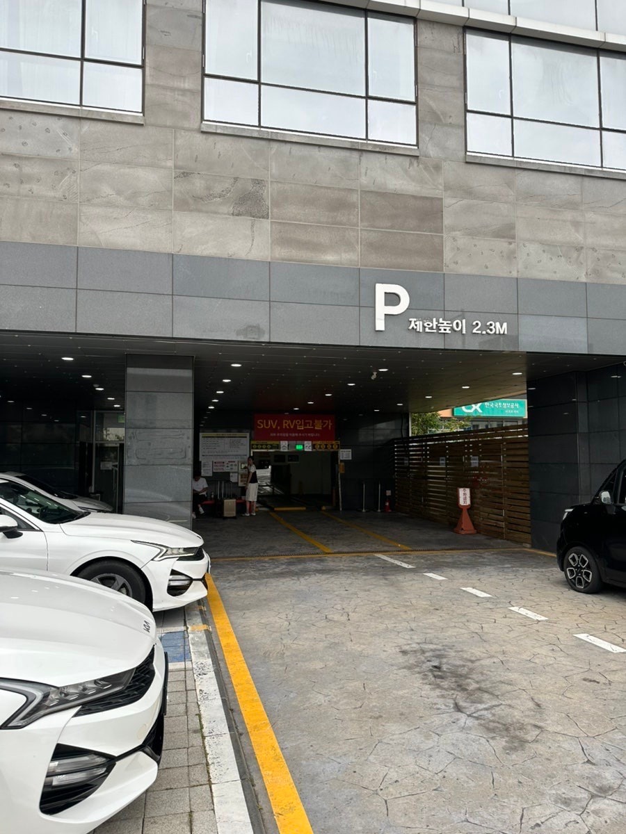제주에 매달 갔던 반제주도민 다이버가 추천하는 가성비 최고의 서귀포 호텔 세 곳! ’케니스테이‘, 이스턴호텔’, ‘타마라제주’