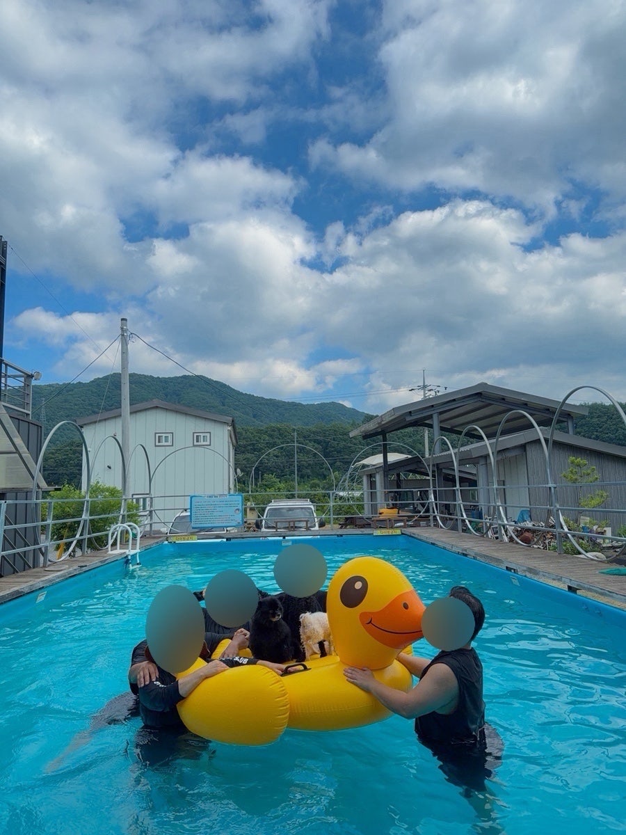 강원도 인제 애견동반 숙소는 여기로!🐶💦 | 인제 다라니 펜션(객실, 수영장, 애견놀이터, 바베큐 등)