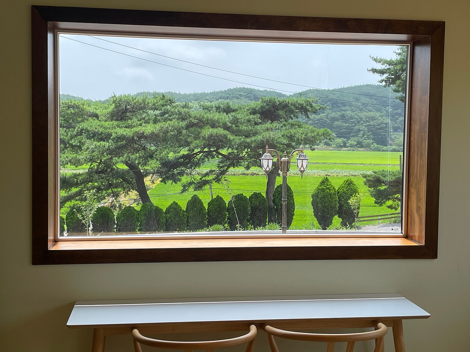 @우당탕 태안 안면도 2박3일 여행 with 수박꽃게@