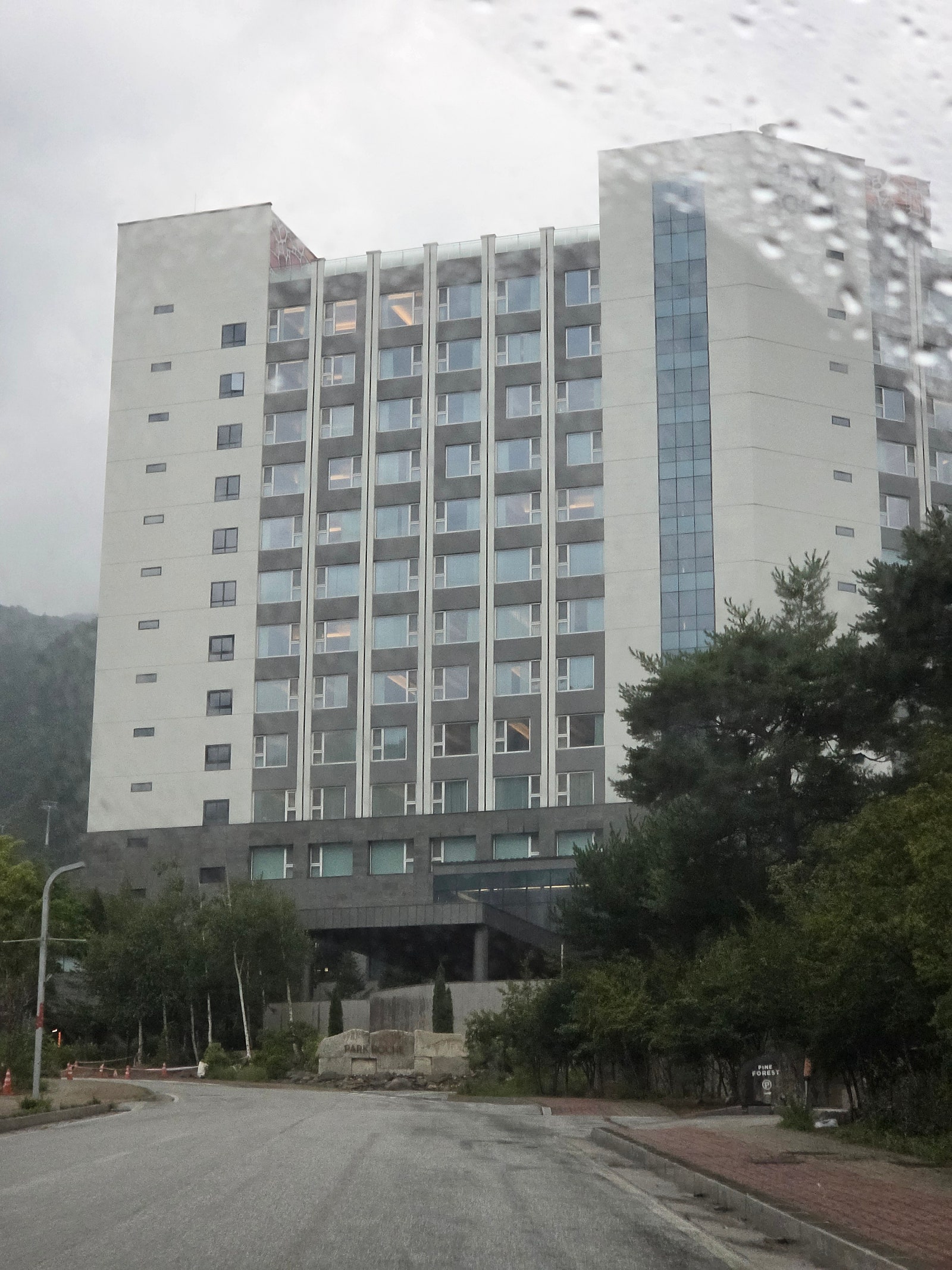 [정선 여행] 태교여행 성지라더니, 직장인이 더 잘 쉬고 왔다🌿｜정선 파크로쉬 2박 3일 <1탄>