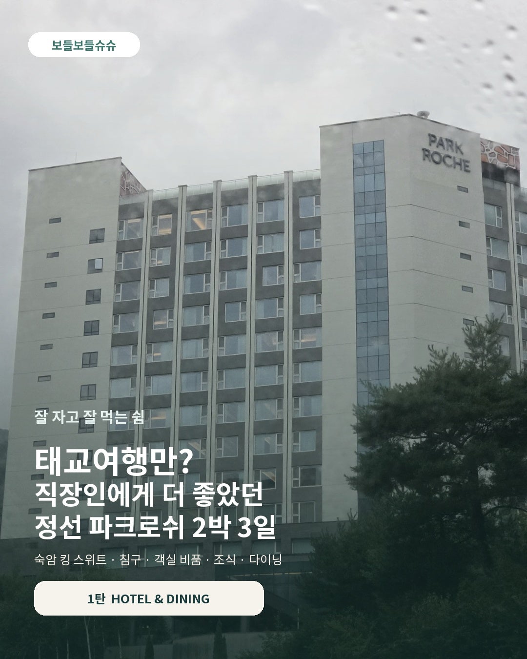 [정선 여행] 태교여행 성지라더니, 직장인이 더 잘 쉬고 왔다🌿｜정선 파크로쉬 2박 3일 <1탄>