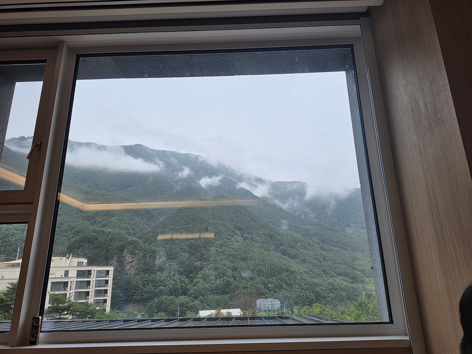 [정선 여행] 태교여행 성지라더니, 직장인이 더 잘 쉬고 왔다🌿｜정선 파크로쉬 2박 3일 <1탄>