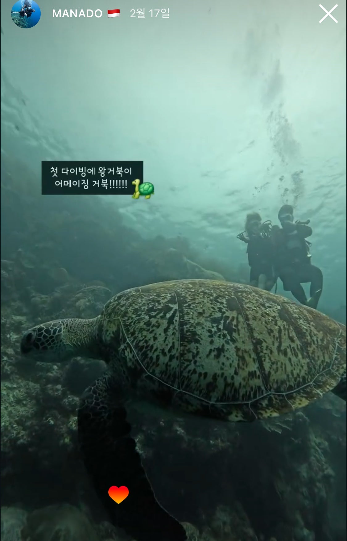 [놀거리] 워터파크 대신 진짜 바다로, 오픈워터 자격증 후기 🤿