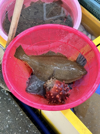 양양 낙산해수욕장 가성비 숙소 루프탑수영장 있는 체스터톤스낙산 아쉬운 점 참고하고 가세요