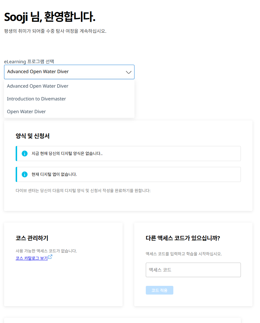 [놀거리] 워터파크 대신 진짜 바다로, 오픈워터 자격증 후기 🤿