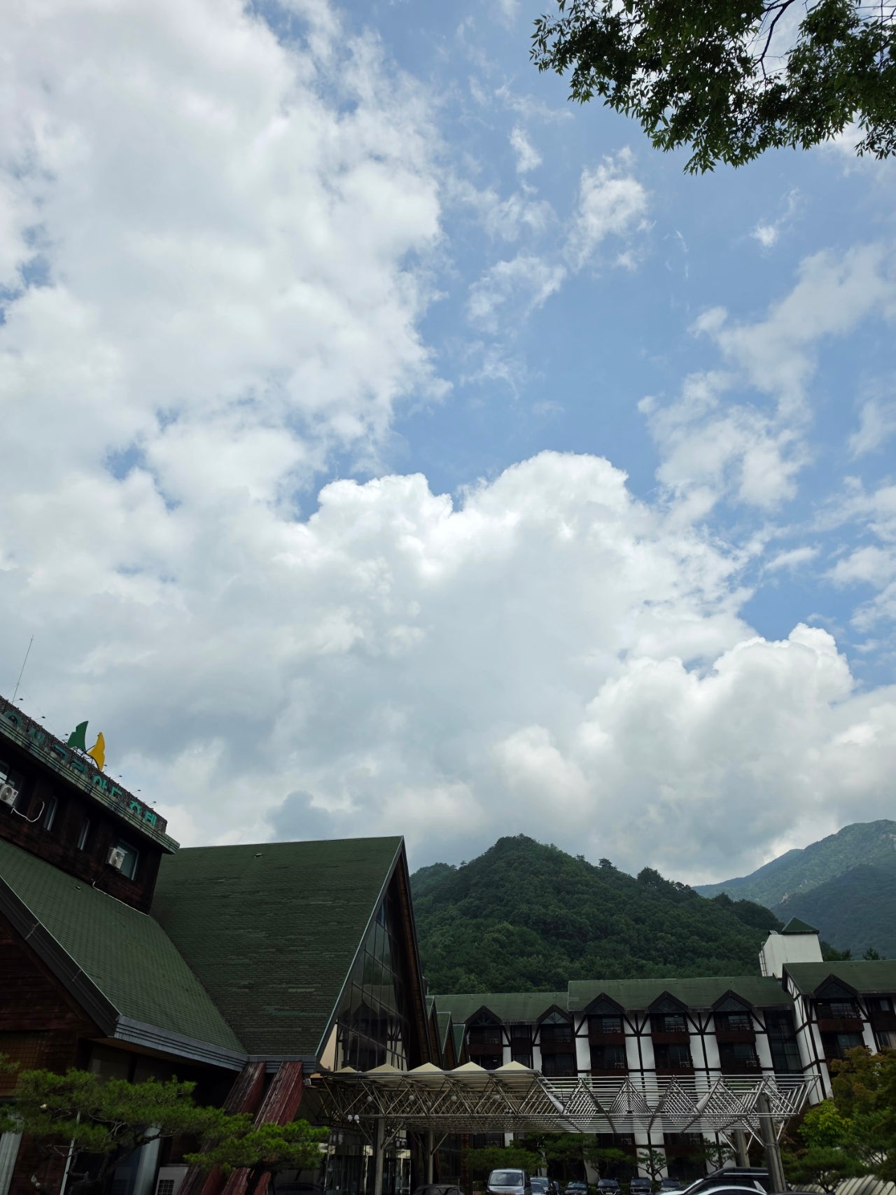 하조대비치( 스노쿨링 포인트) 죽도해변 주문진시장 오색그린야드호텔 30년 할머니순두부 주전골 트레킹 탄산온천 찜질방