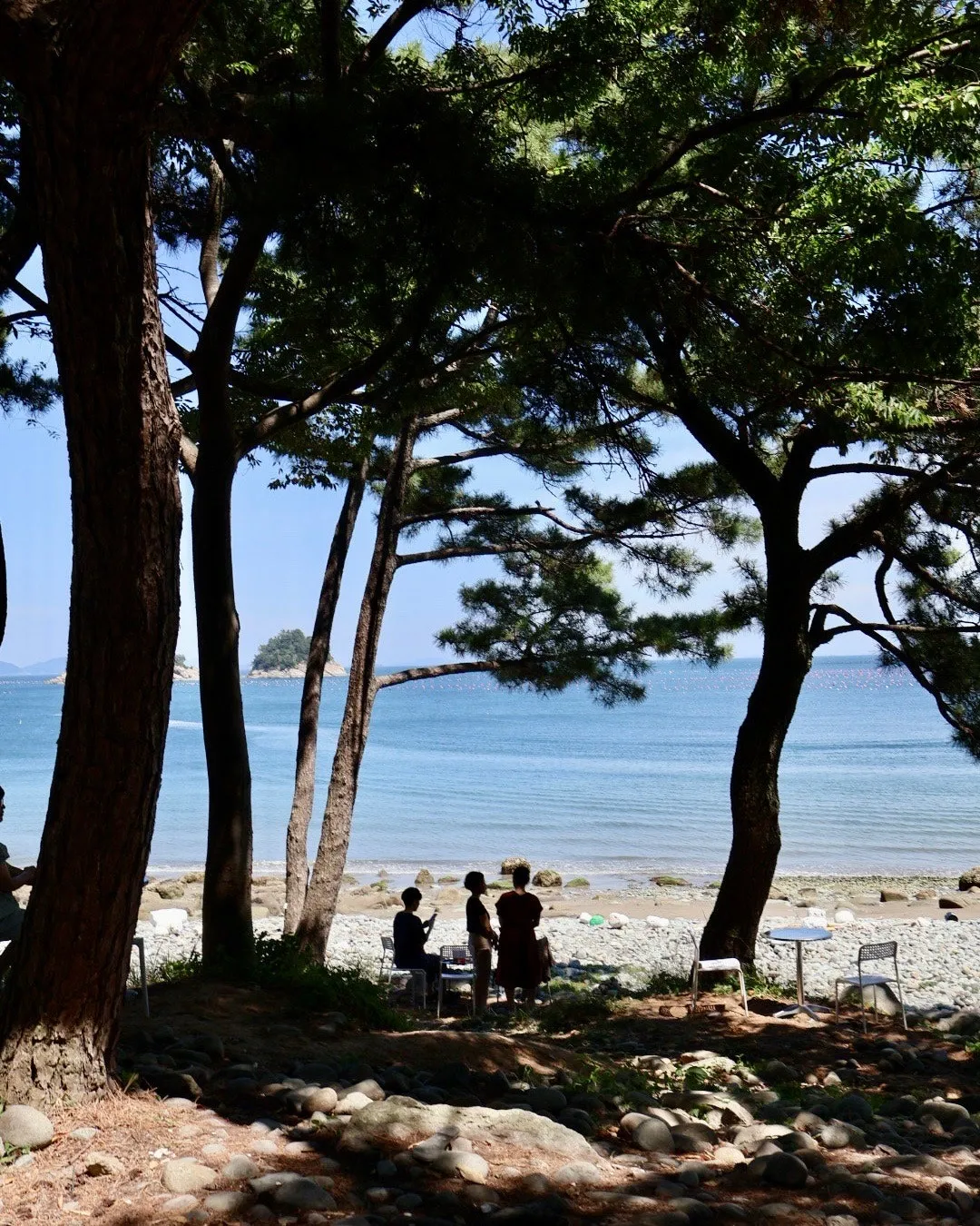여수 맛집 이순신광장 먹거리 솔직 리뷰 및 추천 메뉴 대표 이미지