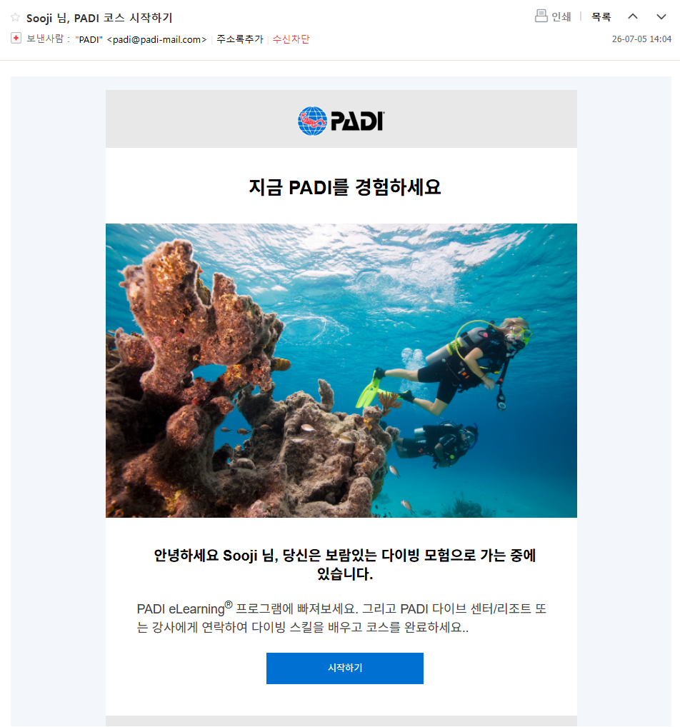 [놀거리] 워터파크 대신 진짜 바다로, 오픈워터 자격증 후기 🤿