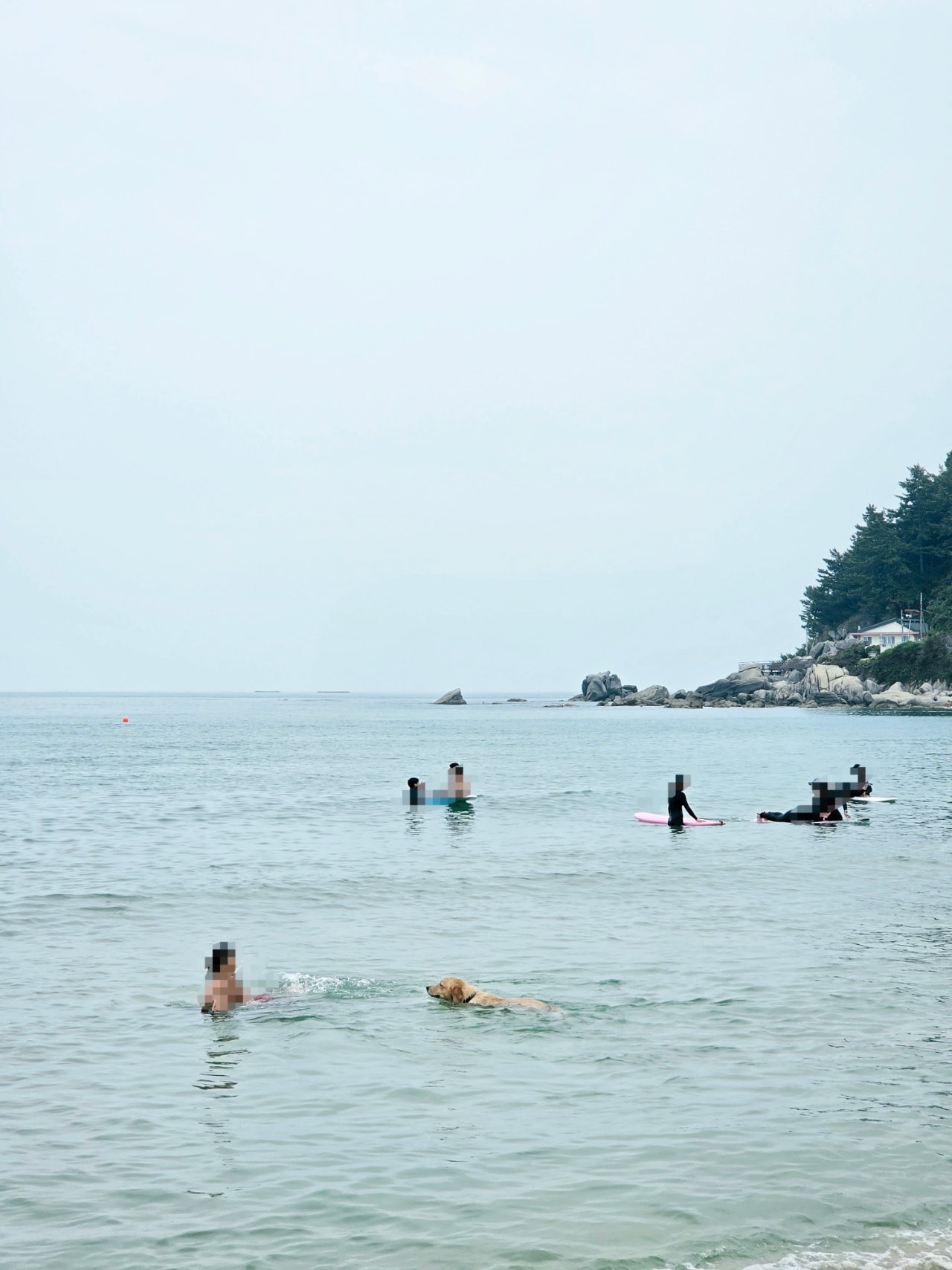 하조대비치( 스노쿨링 포인트) 죽도해변 주문진시장 오색그린야드호텔 30년 할머니순두부 주전골 트레킹 탄산온천 찜질방