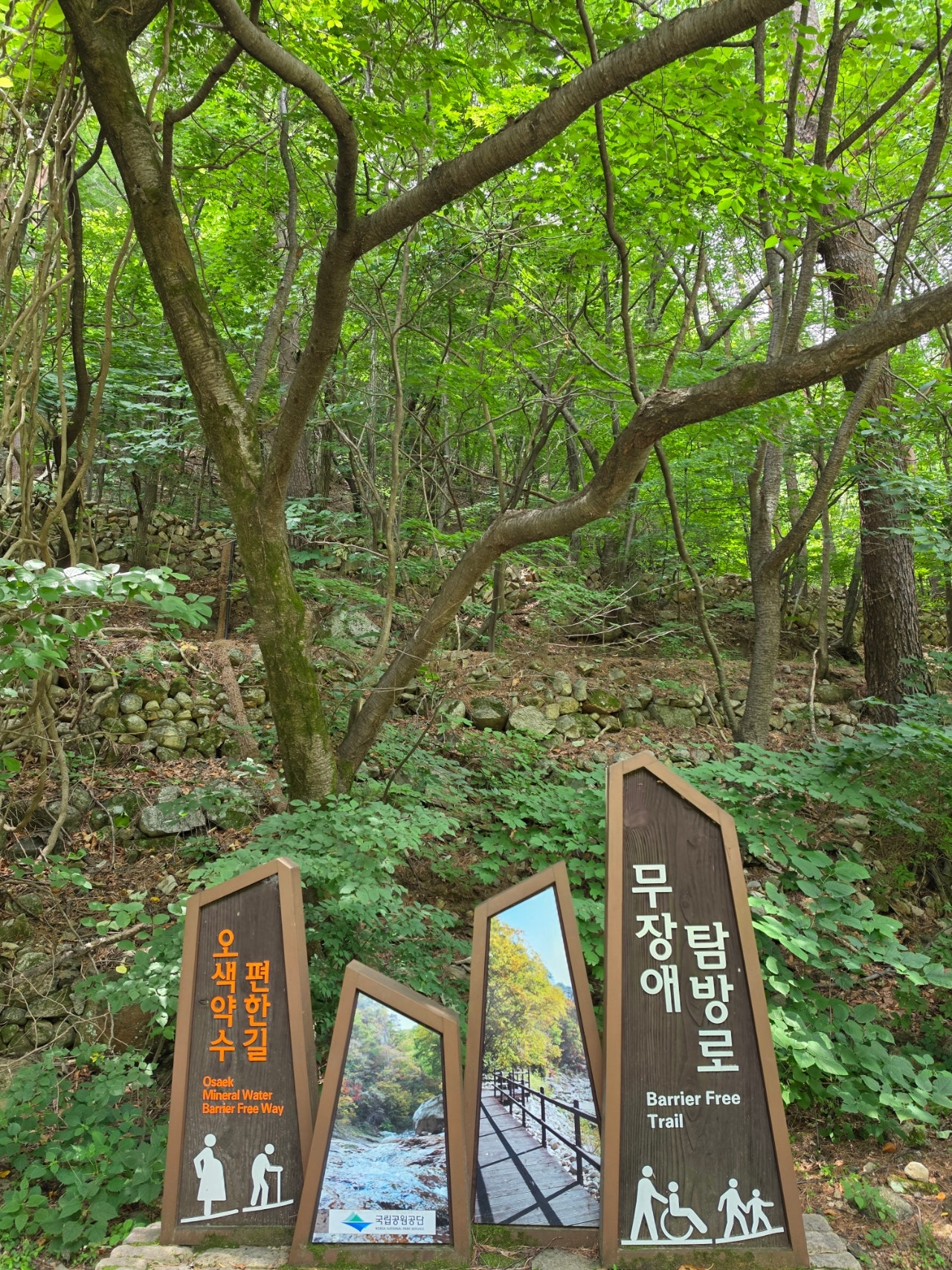 하조대비치( 스노쿨링 포인트) 죽도해변 주문진시장 오색그린야드호텔 30년 할머니순두부 주전골 트레킹 탄산온천 찜질방