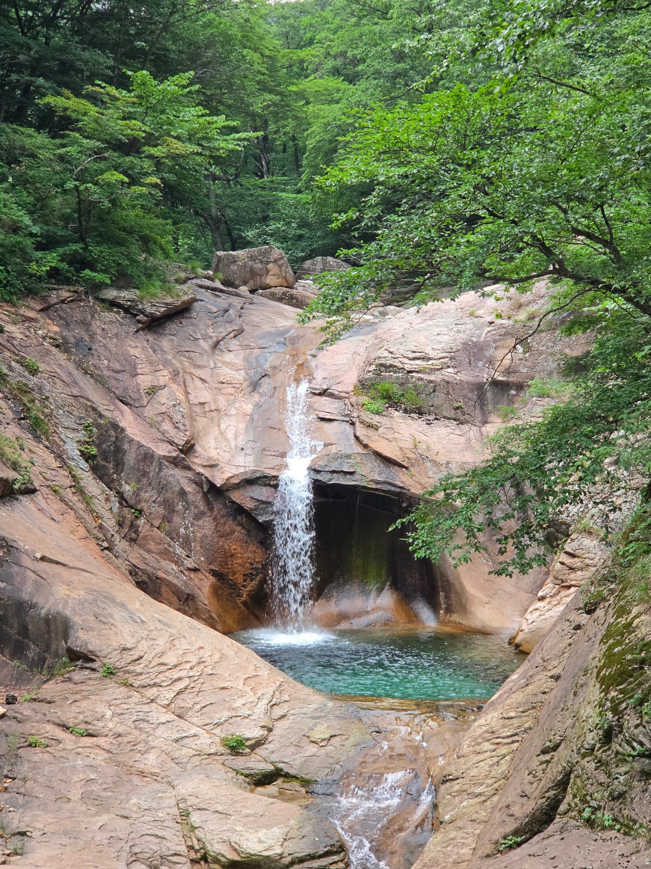하조대비치( 스노쿨링 포인트) 죽도해변 주문진시장 오색그린야드호텔 30년 할머니순두부 주전골 트레킹 탄산온천 찜질방