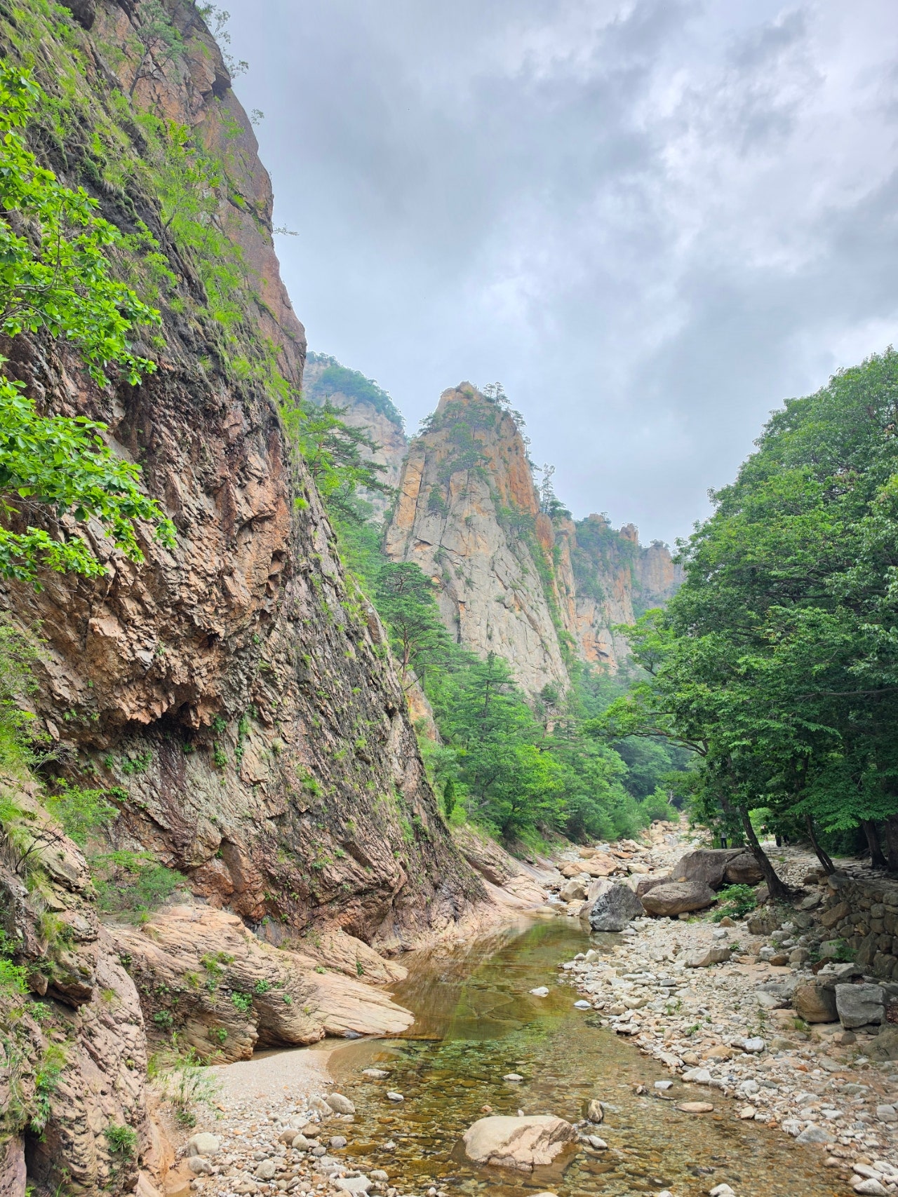 하조대비치( 스노쿨링 포인트) 죽도해변 주문진시장 오색그린야드호텔 30년 할머니순두부 주전골 트레킹 탄산온천 찜질방