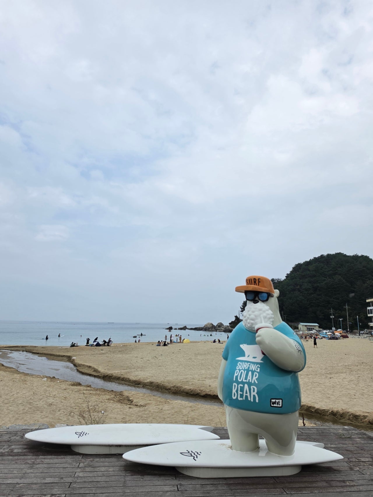 하조대비치( 스노쿨링 포인트) 죽도해변 주문진시장 오색그린야드호텔 30년 할머니순두부 주전골 트레킹 탄산온천 찜질방