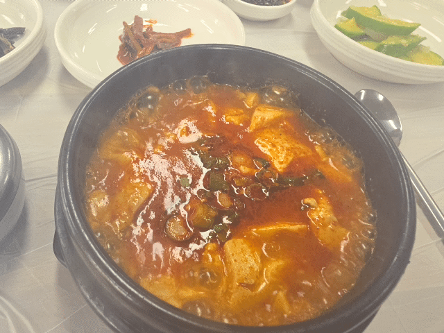 하조대비치( 스노쿨링 포인트) 죽도해변 주문진시장 오색그린야드호텔 30년 할머니순두부 주전골 트레킹 탄산온천 찜질방