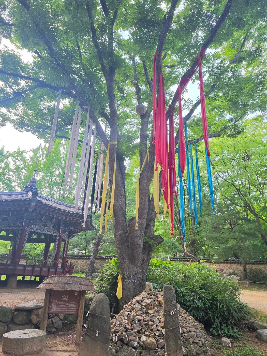 용인 와우정사, 한국민속촌 야간공연 뿌시고 메리엘호텔에서 1박하고 장어먹고 왔어요