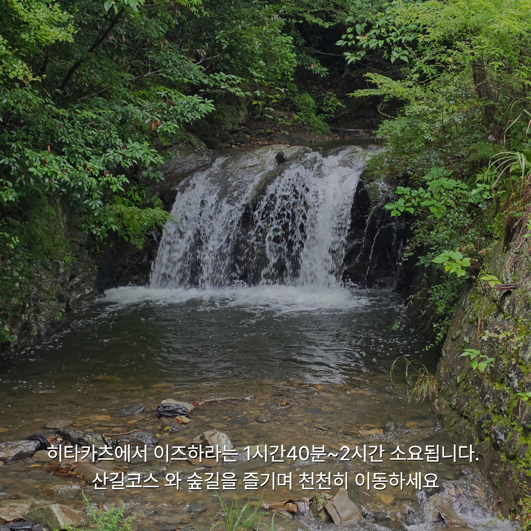 여름휴가로 떠난 가장 가까운 해외여행, 자연과 힐링 가득한 대마도 1박 2일 솔직 후기🚢