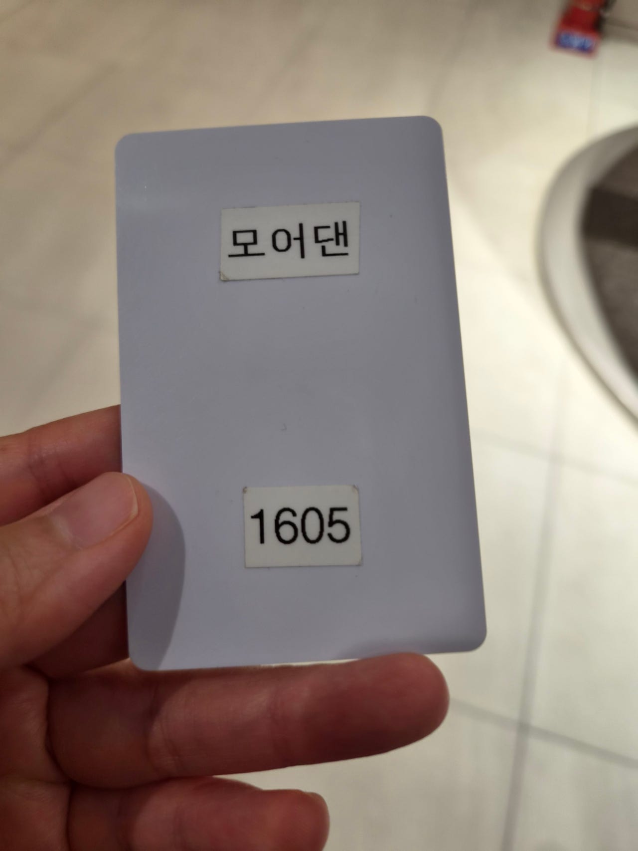 먹여행은 속초가 빠질수 없죠? 걸어갈 거리에 다 있는 맛집숙소 모어댄속초등대점!!