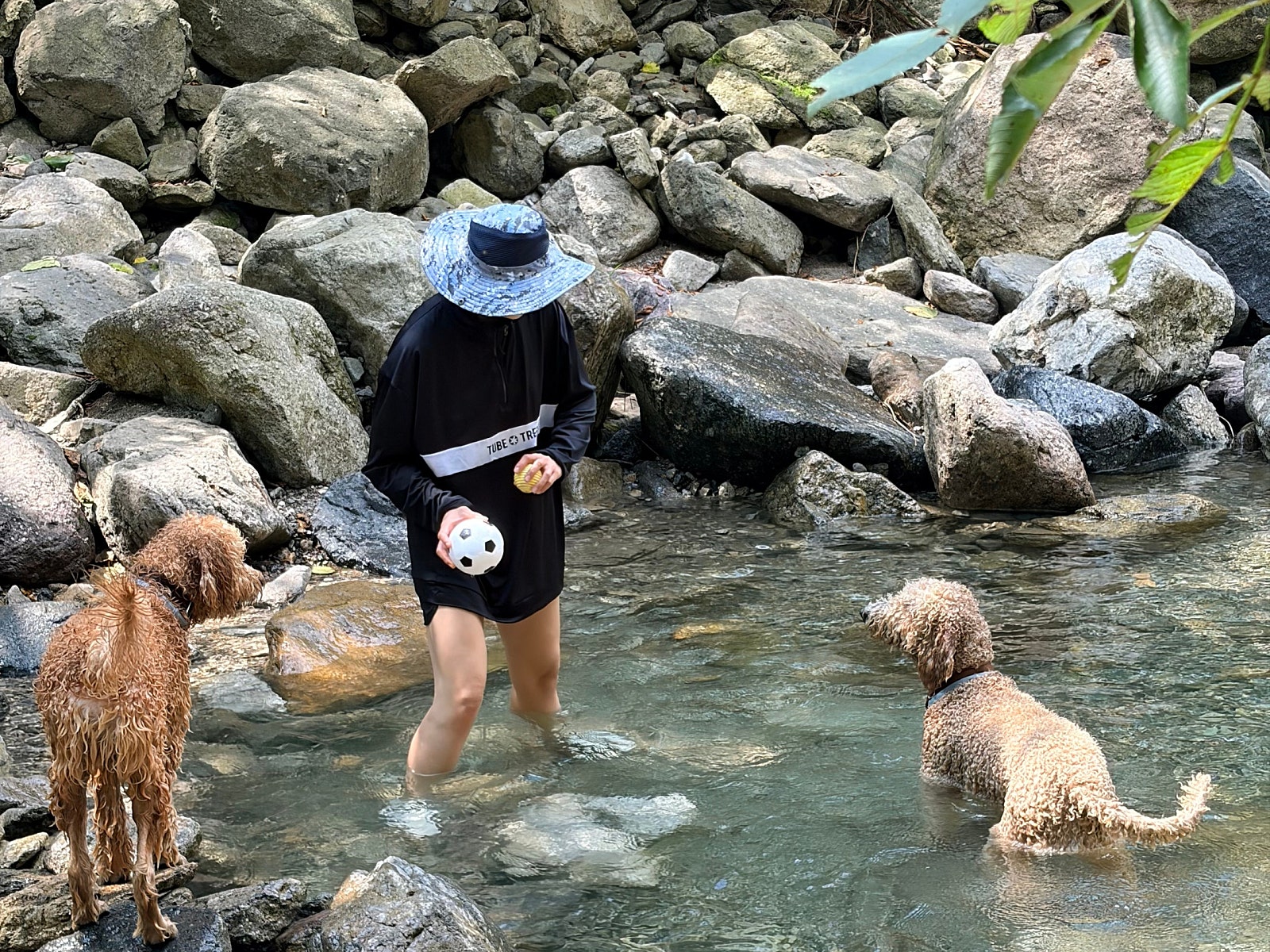강아지와 다녀온 포천 지장산계곡|한적한 계곡으로 여름휴가