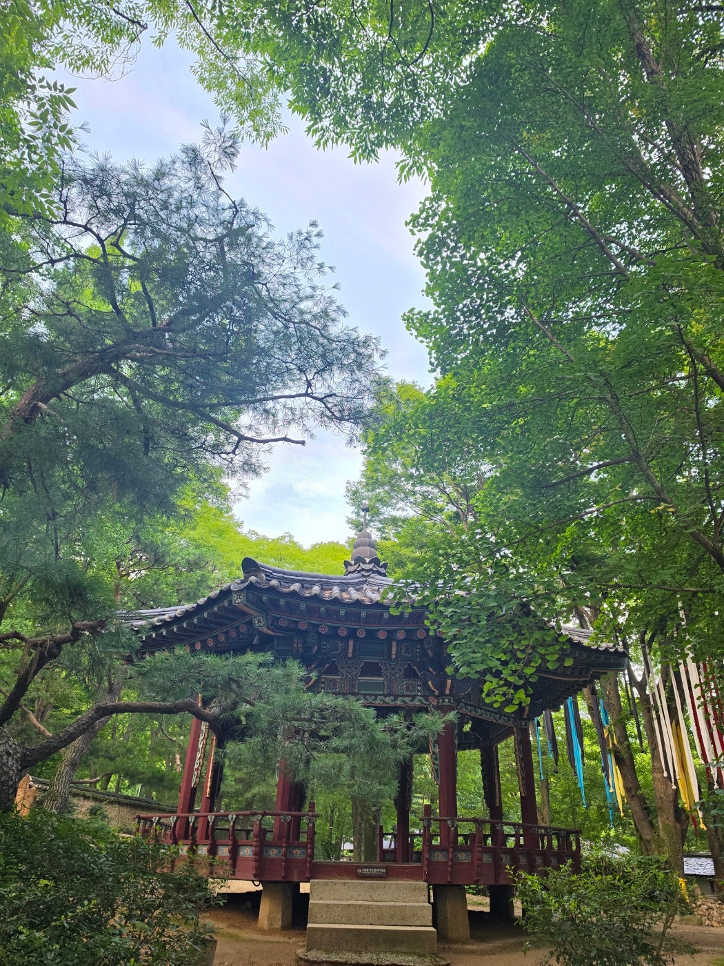 용인 와우정사, 한국민속촌 야간공연 뿌시고 메리엘호텔에서 1박하고 장어먹고 왔어요