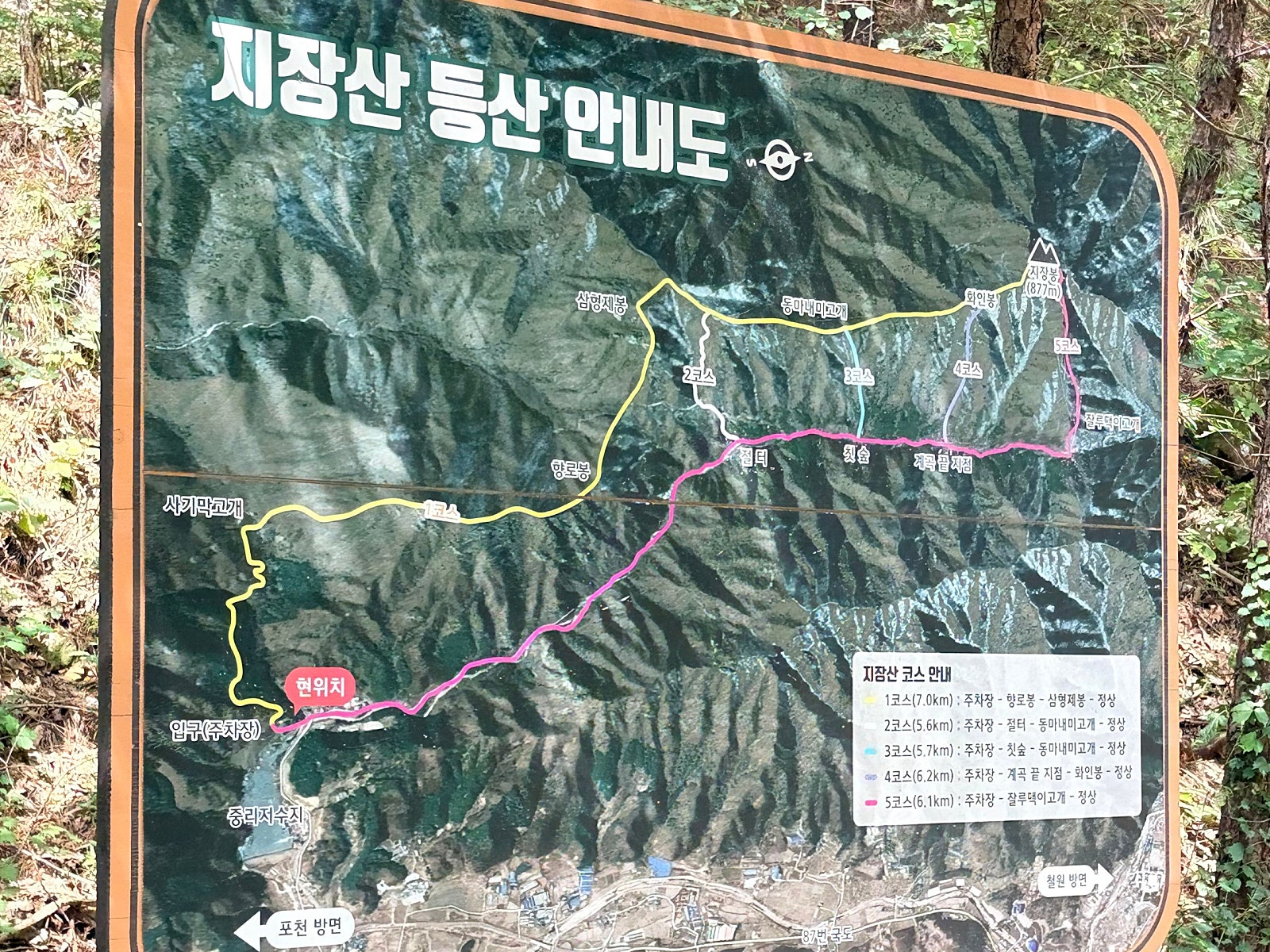 강아지와 다녀온 포천 지장산계곡|한적한 계곡으로 여름휴가