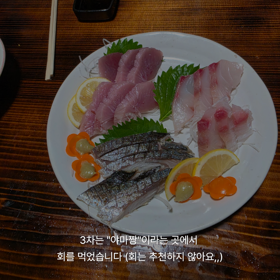 여름휴가로 떠난 가장 가까운 해외여행, 자연과 힐링 가득한 대마도 1박 2일 솔직 후기🚢