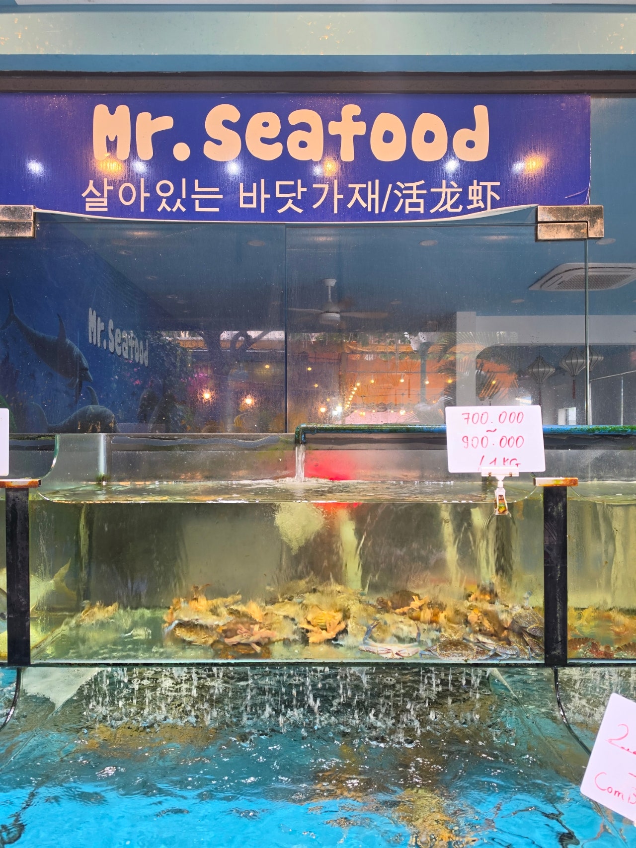 군입대전 아들하고 푸꾸옥 다녀왔어요 3일차 세일링클럽 조식 및 리조트 스냅사진찍고 더노블살롱스파 귀청소 소나시 미스터 씨푸드 저녁먹고 🥭 망고사고 야시장구경하고 왔어요