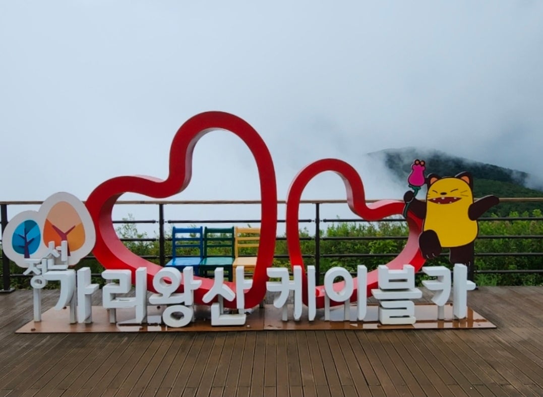 [놀거리&일정] 🏊‍♀️ 쉴 틈 없이 쉬었다! 호텔 밖으로 나가기 싫었던 정선 파크로쉬 2박 3일 <2탄>