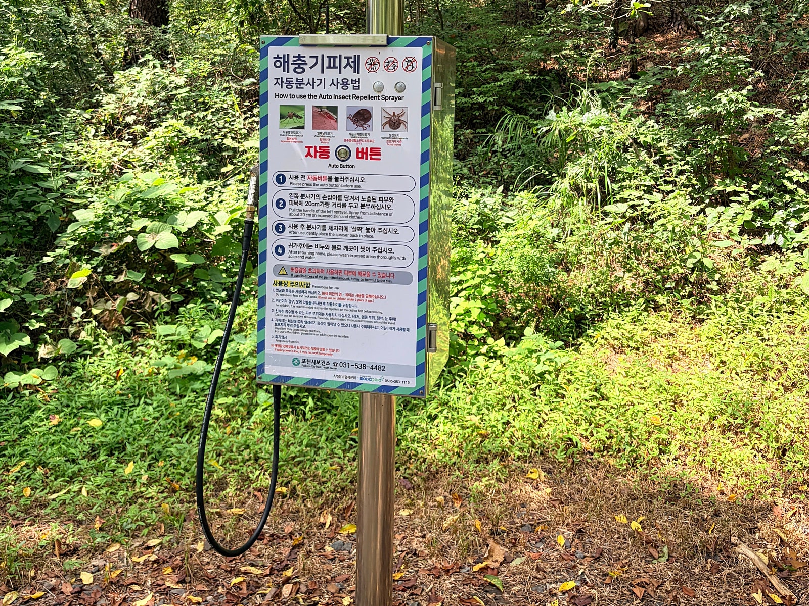 강아지와 다녀온 포천 지장산계곡|한적한 계곡으로 여름휴가