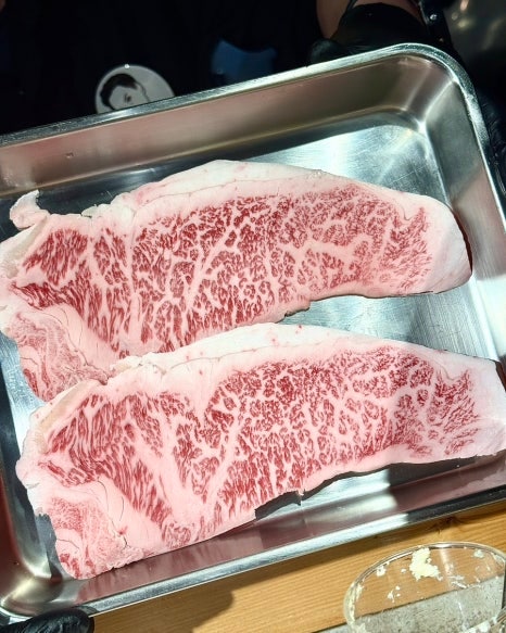 여름에 떠난 도쿄 3박4일 우정여행 완벽 일정