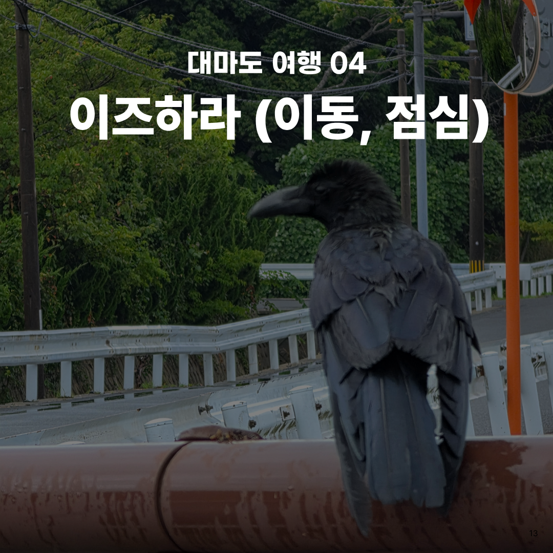 여름휴가로 떠난 가장 가까운 해외여행, 자연과 힐링 가득한 대마도 1박 2일 솔직 후기🚢
