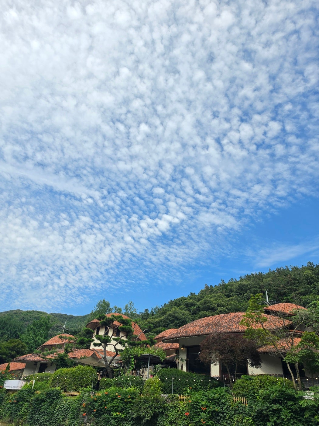 용인 와우정사, 한국민속촌 야간공연 뿌시고 메리엘호텔에서 1박하고 장어먹고 왔어요