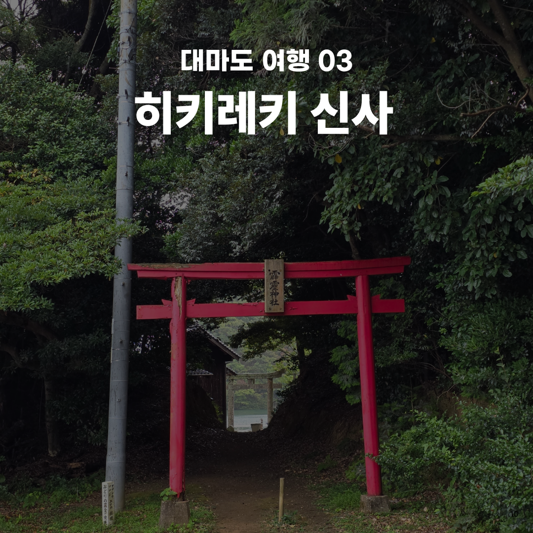 여름휴가로 떠난 가장 가까운 해외여행, 자연과 힐링 가득한 대마도 1박 2일 솔직 후기🚢
