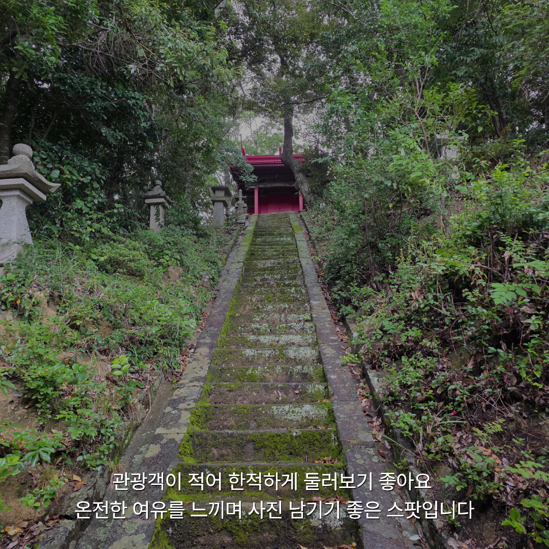 여름휴가로 떠난 가장 가까운 해외여행, 자연과 힐링 가득한 대마도 1박 2일 솔직 후기🚢